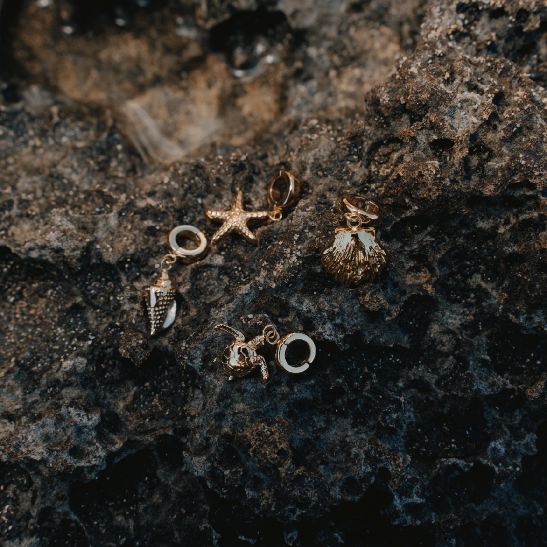 Haz clic en Charm Shell