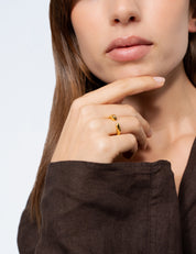 Anillo Lu