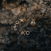 Haz clic en Charm Shell