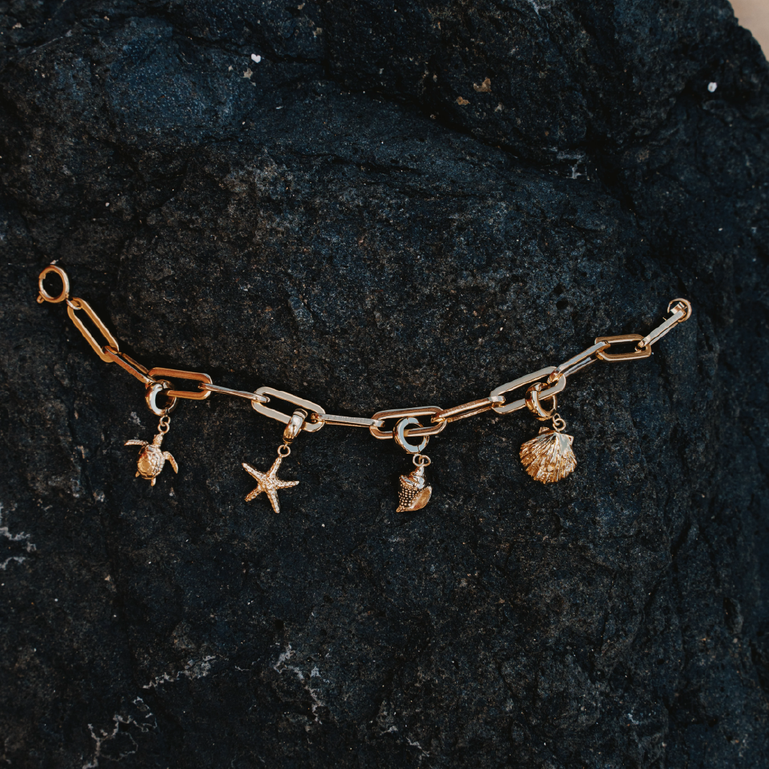 Haz clic en Charm Shell