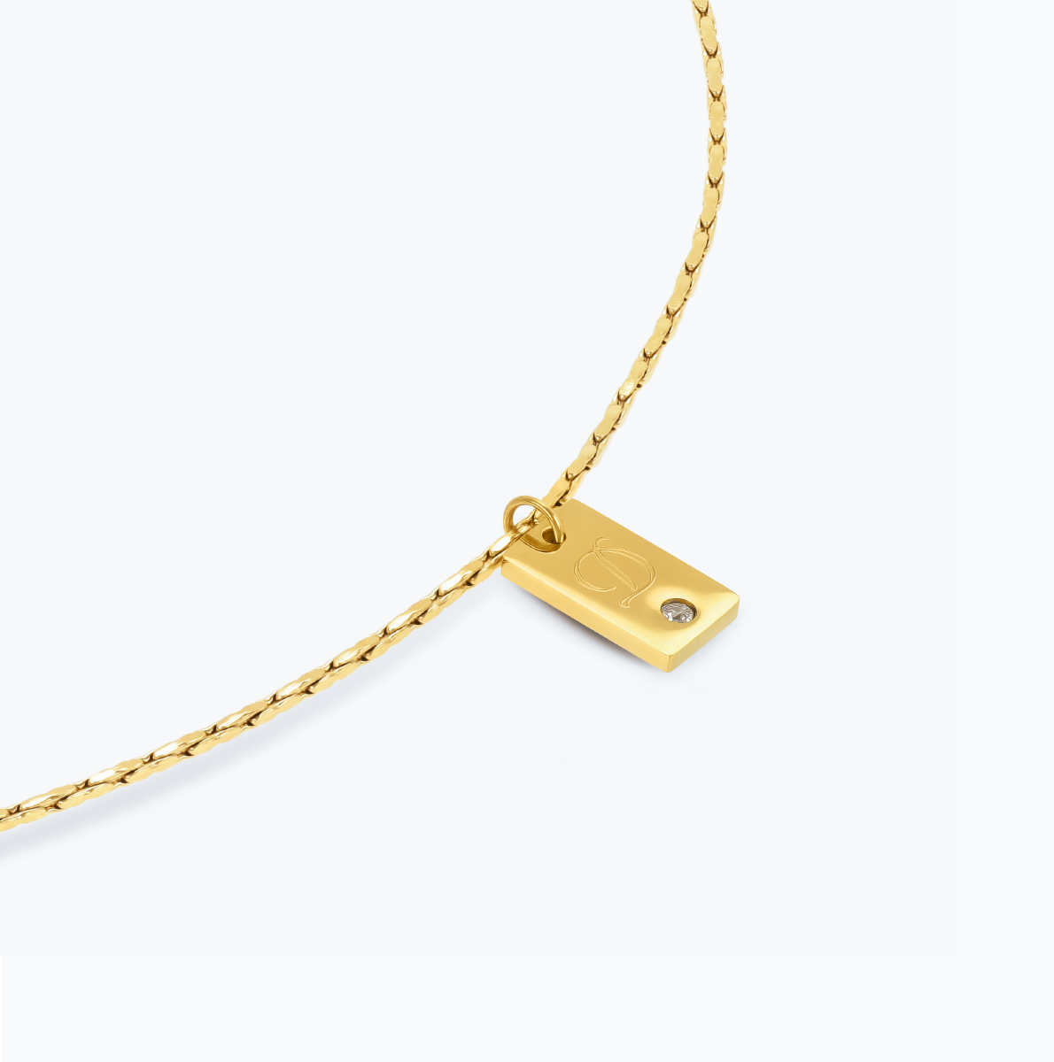 Collar Tavi personalizado