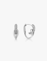 Aster Hoops